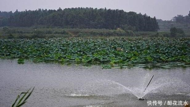 旅游|湖南省第二大淡水湖，面积达3840公顷，旅游资源堪比洞庭湖！