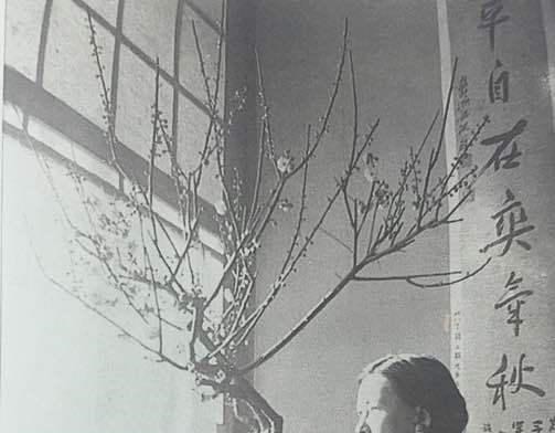 照片&梅花下的林徽因,美极了!梅花下的林徽因,美极了!