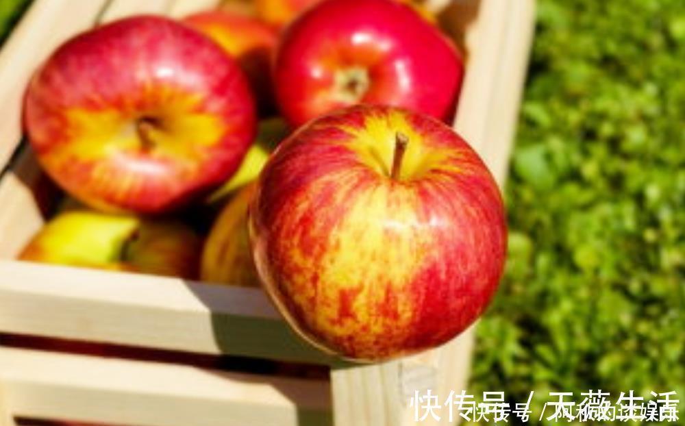 水果|孕期吃水果固然好,但要选对时间,2个时间段吃宝宝吸收会更好