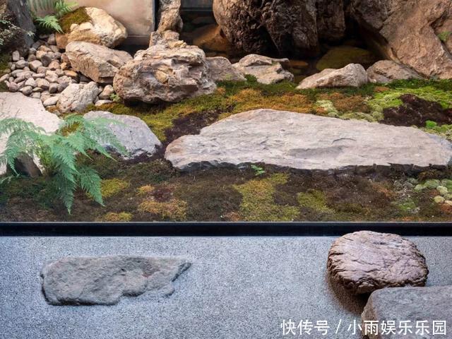 密室|杭州夫妻在家建密室,邻居超眼红:把开发商送的150㎡用到了极致