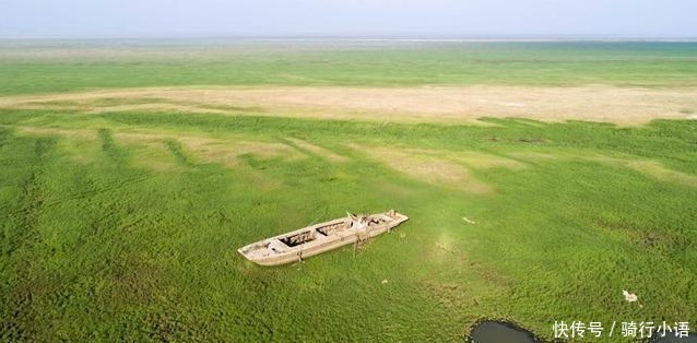 生病|鄱阳湖、洞庭湖、太湖中国最大的三个淡水湖“生病”了