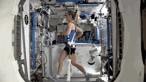 sci关于国际空间站你需要知道的一切