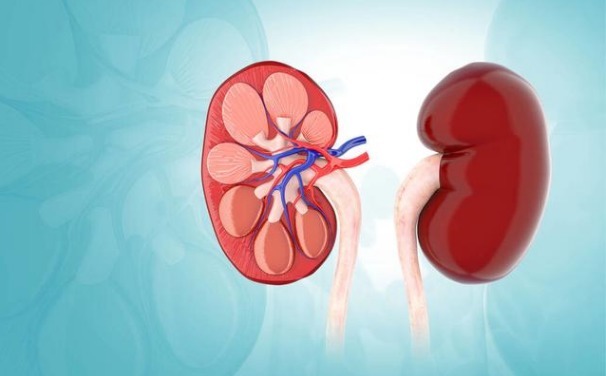 微量尿蛋白|提醒:糖尿病不想发展成尿毒症,控制好3个指标很重要