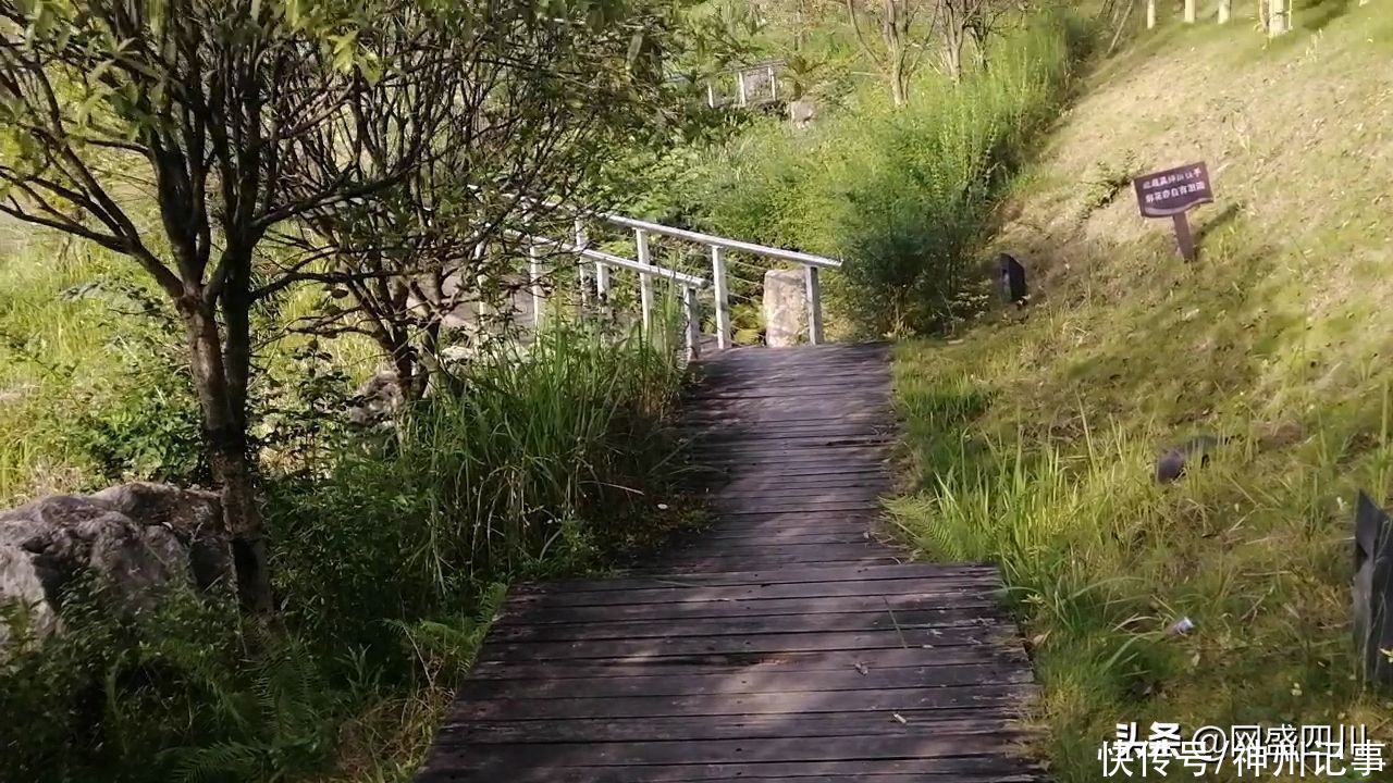 凤凰生态公园|蓬安凤凰生态公园风景美