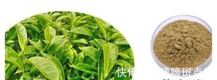 绿茶|冠心病？这种饮料能帮您预防，每天12克，3个月后心电图变化喜