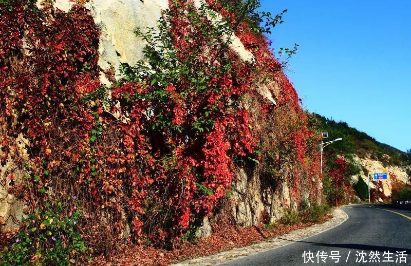 景区|这条京郊最美的乡村路，在悬崖峭壁上穿行，串起太多魅力景区！