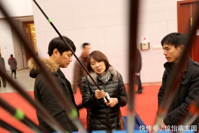 竿壁|几十元的鱼竿和几百元的鱼竿差距在哪？内行人士来告诉你答案