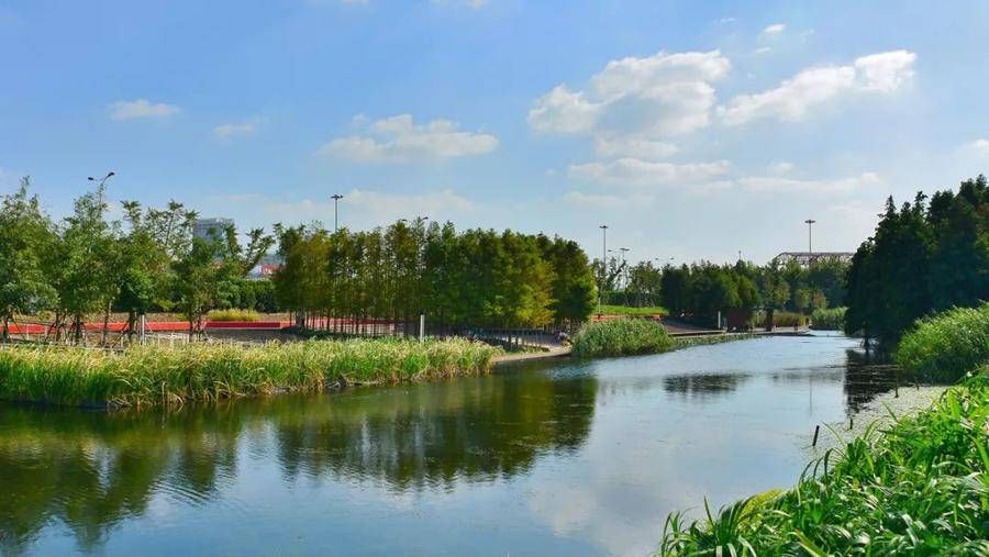 高新区|楼市降温？应该是冷热分化