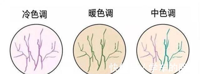 大衣 初冬的大衣怎么选身高决定长度,体型支配版型,颜色跟随肤色!