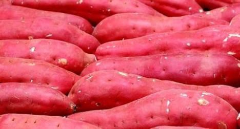 玉米粥|红薯加此物一起吃，失眠质量好了，大肚子没了，可以试试！