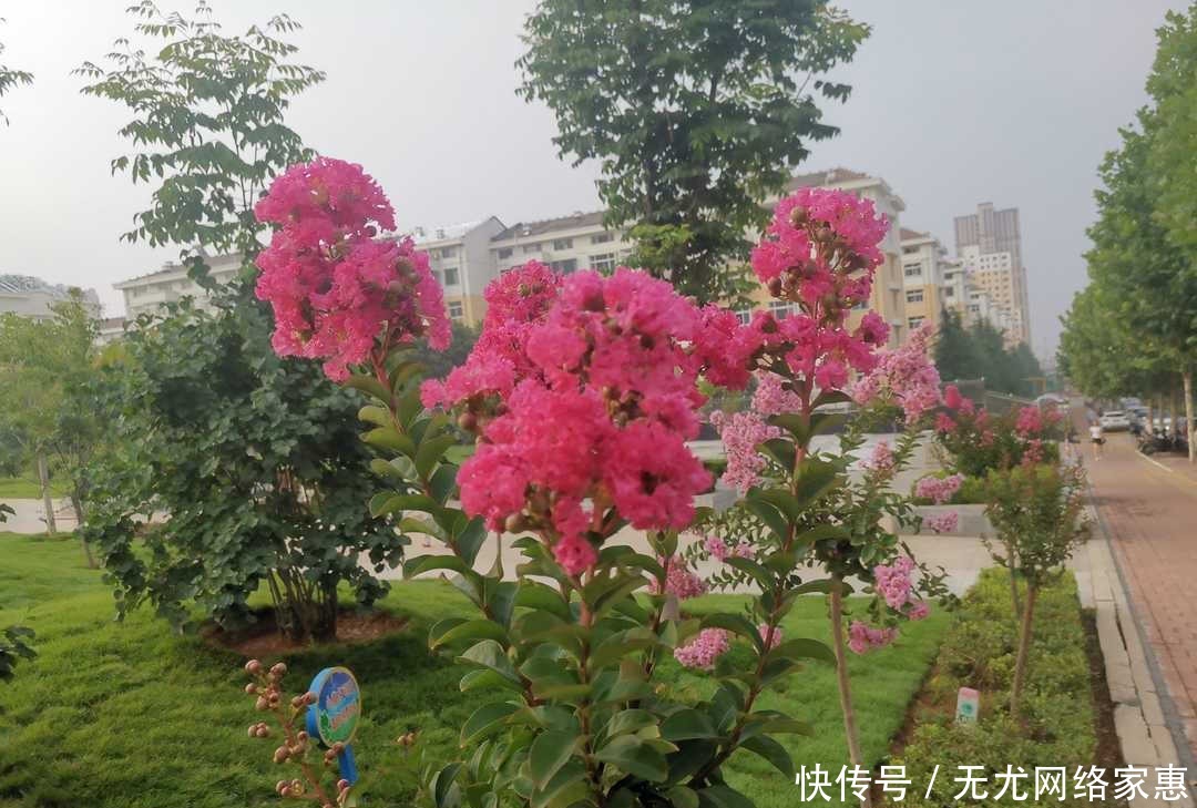 独处|《曾国藩家书》:静心独处有益于养生,舒缓心情可治疗失眠