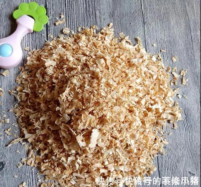 花盆里垫点底料,根壮叶绿状态好,爆盆真简单