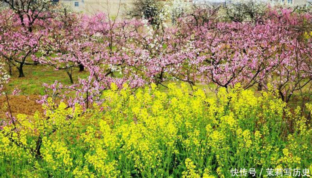 值得|辛弃疾这首词美得令人心醉,惊艳了世人800多年,值得我们一读!