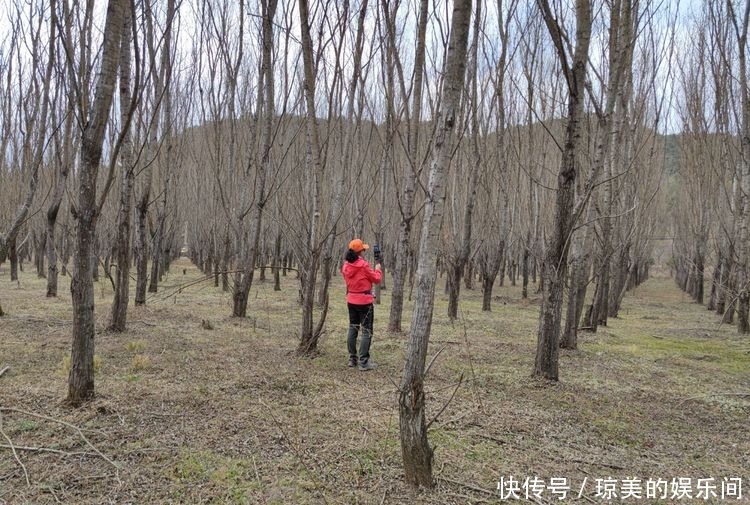 昆明走进自然户外｜乐走牧羊河上段，邂逅甸头村湿地，惊喜连连