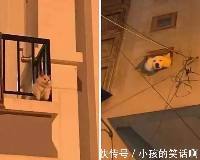 |在游乐场你见过哪些搞笑的设施?网友:这算吗,哈哈