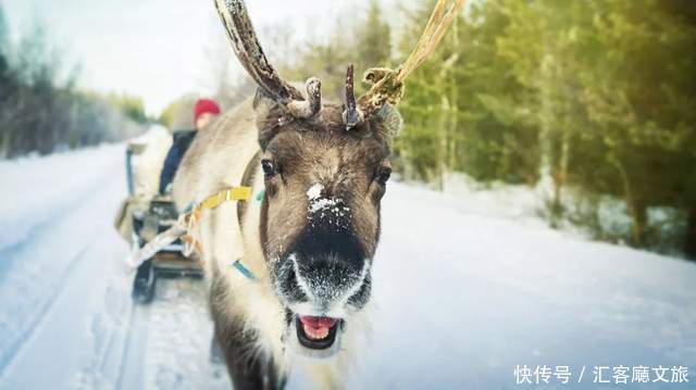  绿皮火车|刷屏朋友圈的“雪国列车”，坐一次你能记一辈子！