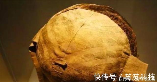 诸葛连弩$宋代如果看到这两种树扎堆,说明附近可能有古墓,但盗墓贼不会盗!