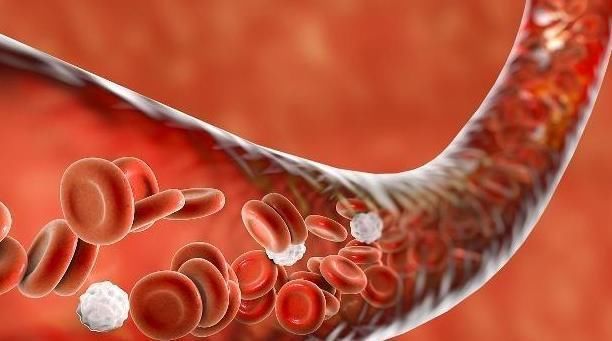 长寿|不论男女,50岁后若有5个表现,占上2个,或许也是“长寿体质”!