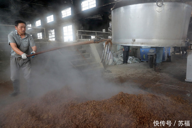 文化|酒文化您知道多少?苏福告诉您