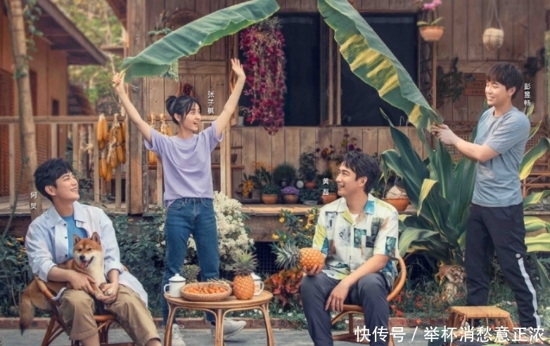 《向往5》正式官宣!新成员站位引关注,看清开播时间不淡定啦