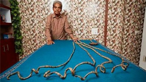 苦行僧&他66年没剪指甲,将9米长指甲捐给博物馆后,有了新的发现