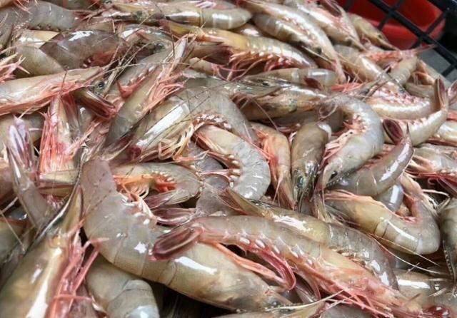 海鲜|含“寄生虫”最多的3种海鲜,没营养还贵,老板自己都不敢吃