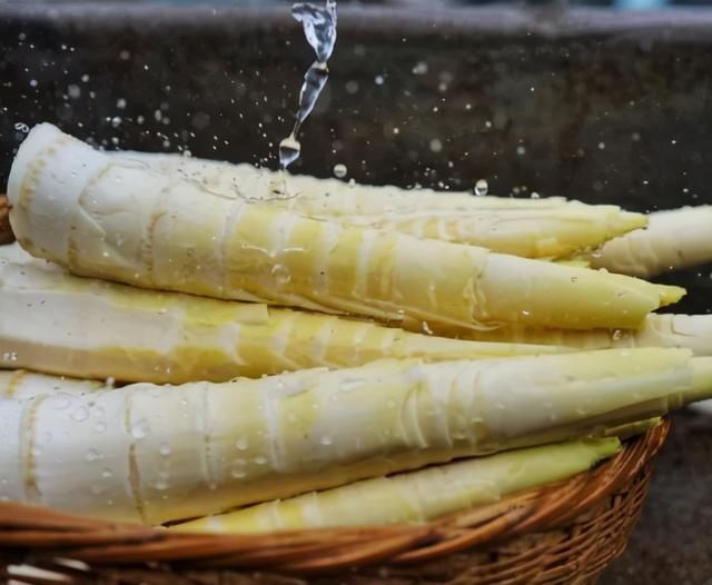 买春笋，别看大小挑选！牢记“4买”，选的春笋清香脆嫩，特新鲜