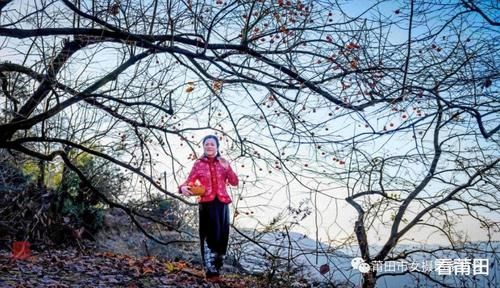 又见福建古村那一抹柿子红，你怎能错过？