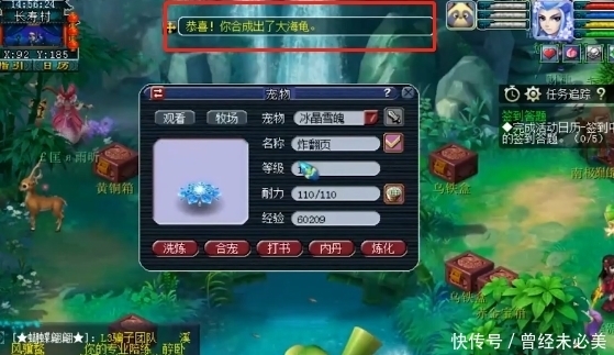 梦幻|梦幻西游：全红力劈如何变成大海龟？所有的打书最终都会变成炼妖？