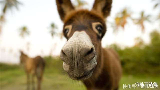 22个冷知识课本上不会出现,无法轻易相信的有趣事实