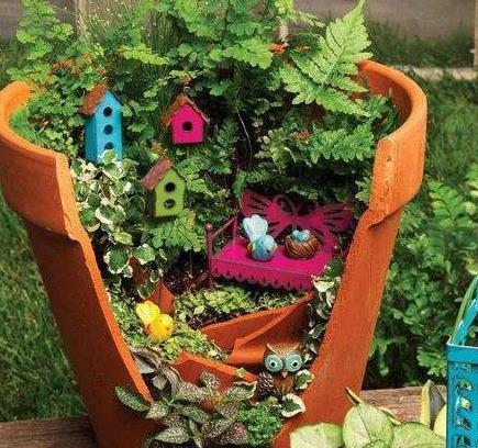 不小心打碎了花盆,捡起来,种上多肉植物,变成漂亮的盆景!