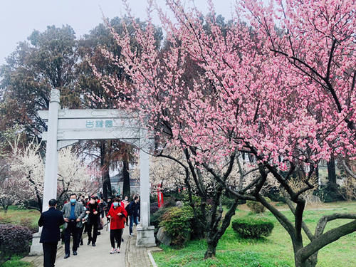 中年|花式过大年,近两日东湖接待游客39.4万人