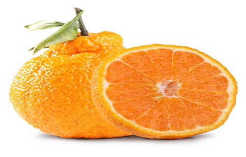 春见是什么水果