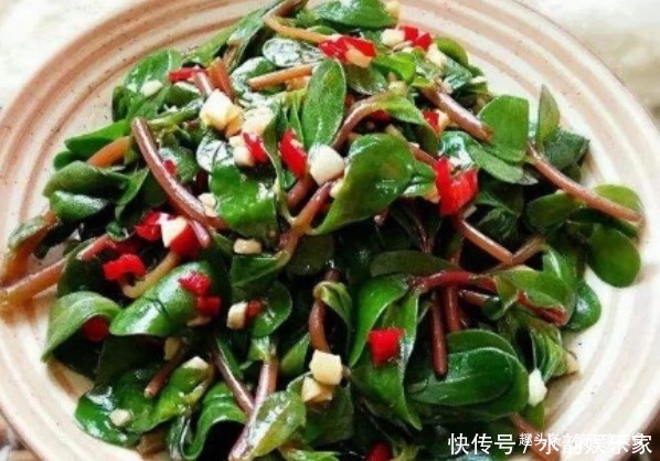 马齿苋|好食物吃出好身体,女性夏季多吃以下3道菜,清肠排毒,减肥瘦身