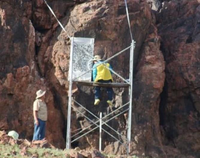  翻译|国外断崖发现中国汉字，内容翻译之后，专家当场热泪盈眶