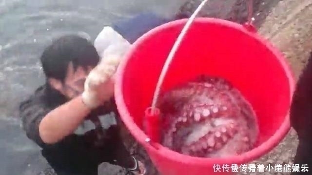 小张|男子在河里钓鱼, 下水被奇怪生物缠住脚, 起来后他大呼发财了