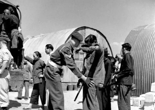 横行|人见死鼠如见虎，从宋代到清末民初鼠疫横行的原因