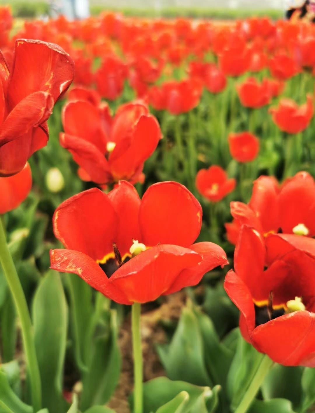 小考|春秋年号由来小考