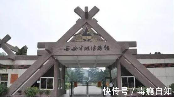 鱼纹$半坡文化彩陶,纹饰记录了半坡人的生活!