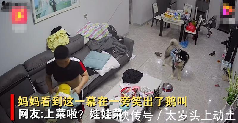 宝宝|湖南一宝宝趴沙发上睡觉，爸爸“上菜”进屋，妈妈一旁笑出鹅叫