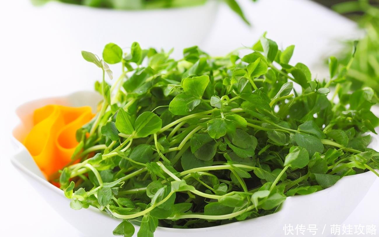 吃豌豆尖|冬季排毒很重要,推荐3种食物,排毒清肠,抗衰老,清理体内毒素