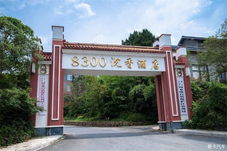 盛开|临安的盛夏避暑，不虚此行