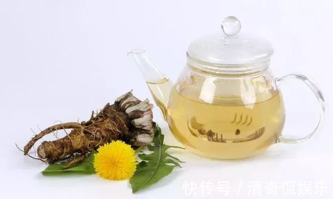 蒲公英根|春天,蒲公英,浑身是宝,对人体有4大好处,但3类人不宜吃