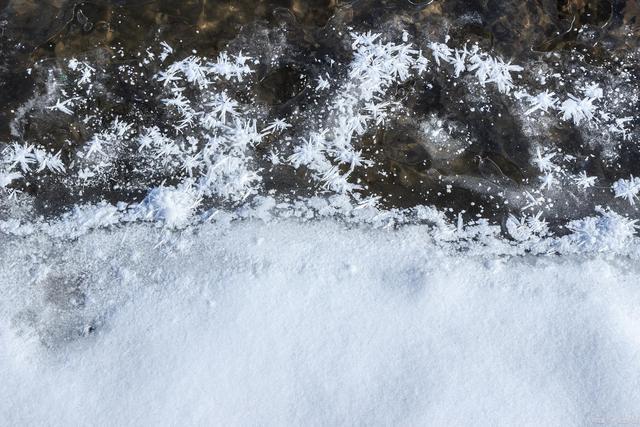 韦成柏$时逢小雪北风忽，旷野空山草萎枯。《小雪》诗词63首