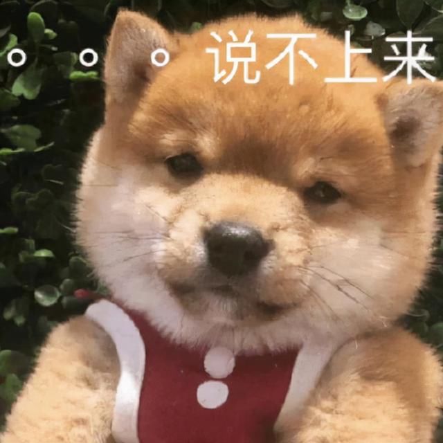 6台跨年名场面：主持人翻车、唱歌跑调，周深邓丽君跨时空同台