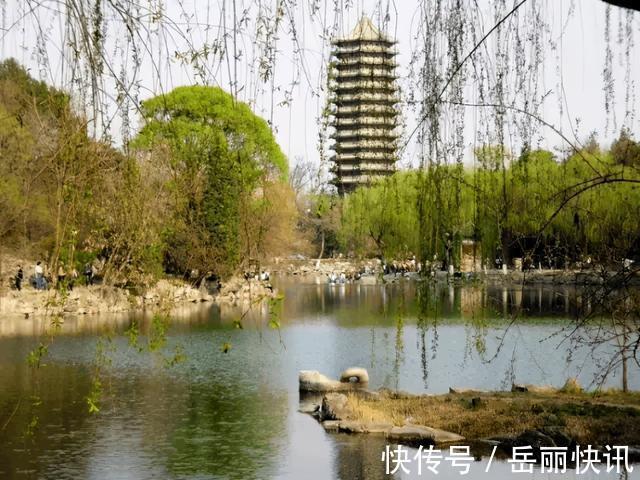 林斤澜#老舍跳湖前,在公园湖边坐了整整一天,是什么让他最终决定去死