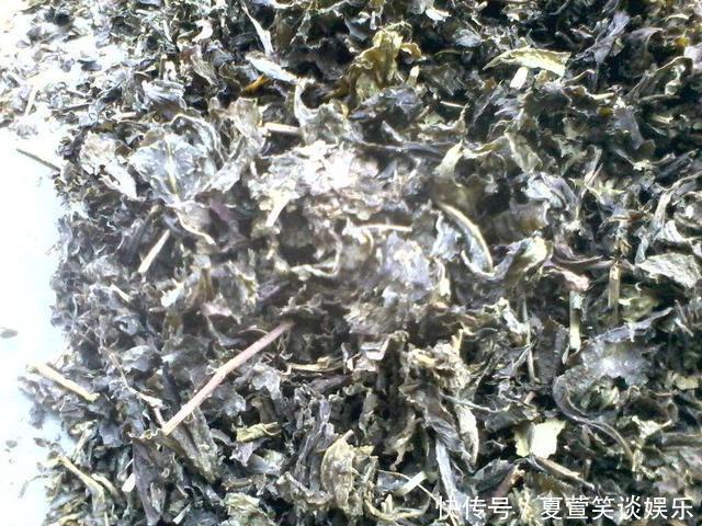 肥力|茶叶喝完就扔真是傻到家,明明是养花神器,被你白白糟蹋