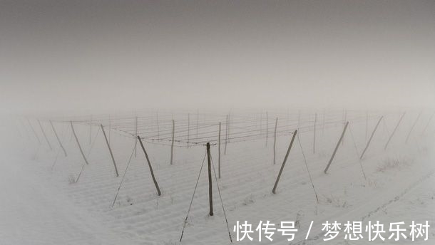 诗仙李白#从古诗词走来的十二月，冰天雪地，天寒地冻