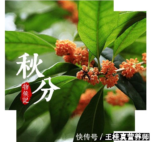 秋季|秋分至,做好“四防”“三不漏”,过好整个秋