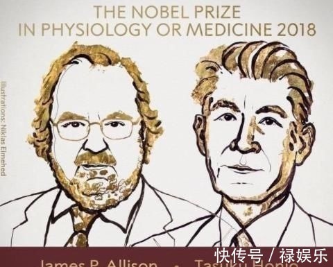 免疫细胞|不去做手术、放疗和化疗的治疗,能通过增强免疫力来对抗癌症吗